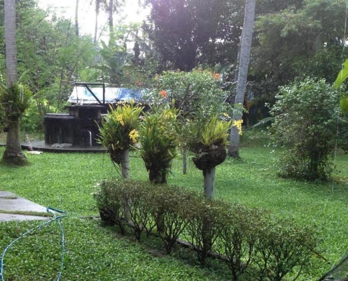 White Butterfly - A Countryside Homestay Thiruvananthapuram Luaran gambar