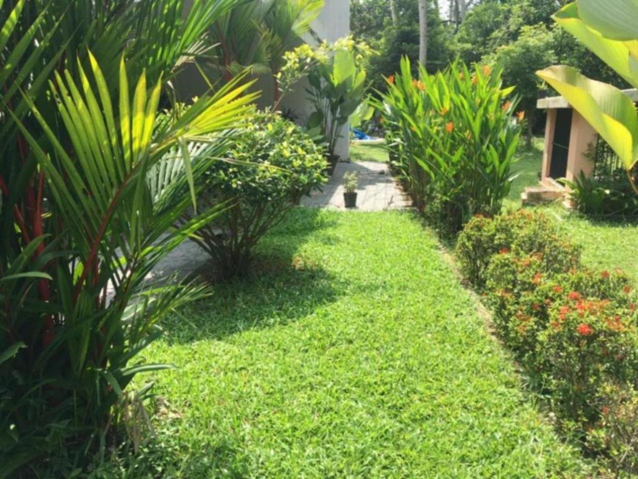 White Butterfly - A Countryside Homestay Thiruvananthapuram Luaran gambar